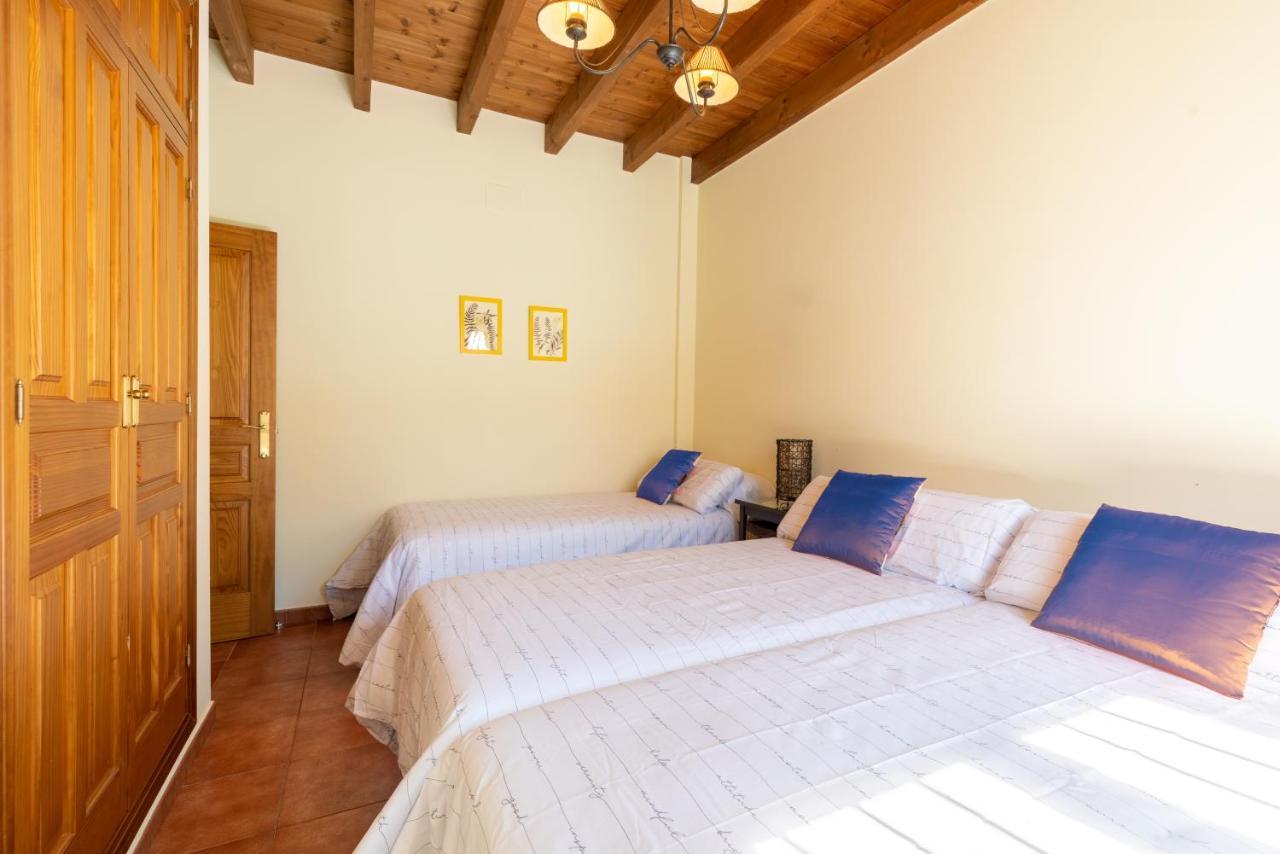 Vll Vivienda Rural A Las Puertas De Donana ビジャマンリケ・デ・ラ・コンデサ エクステリア 写真